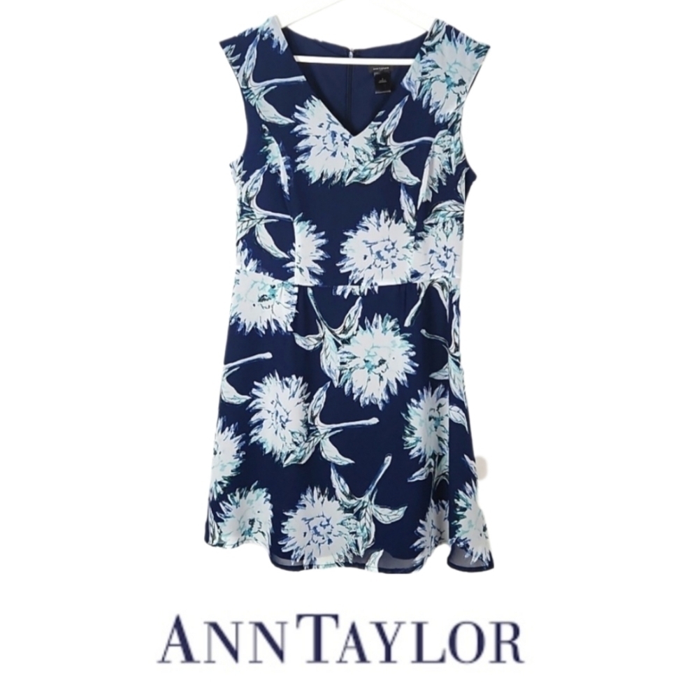 Ann Taylor Mini Dress in Blue & White Floral Summer Print, Size 4
